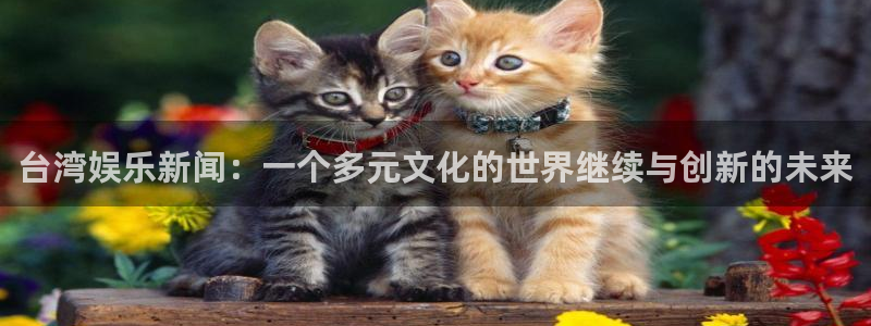 台湾娱乐新闻：一个多元文化的世界继续与创新的未来