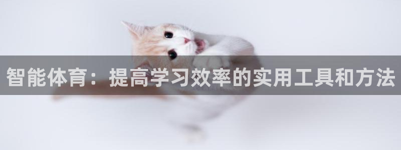 智能体育：提高学习效率的实用工具和方法