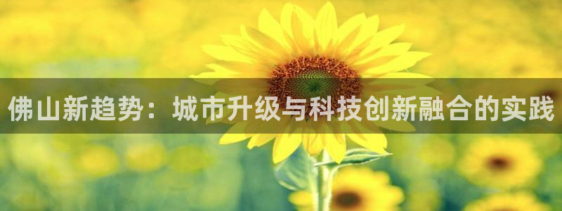 佛山新趋势：城市升级与科技创新融合的实践