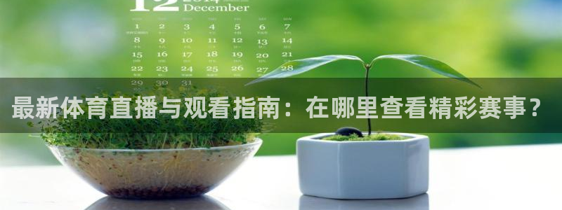 最新体育直播与观看指南：在哪里查看精彩赛事？