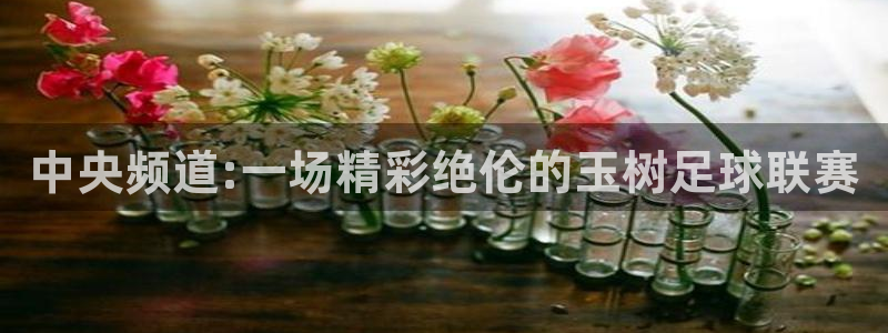 中央频道:一场精彩绝伦的玉树足球联赛