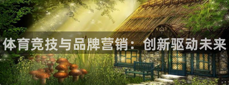 体育竞技与品牌营销：创新驱动未来