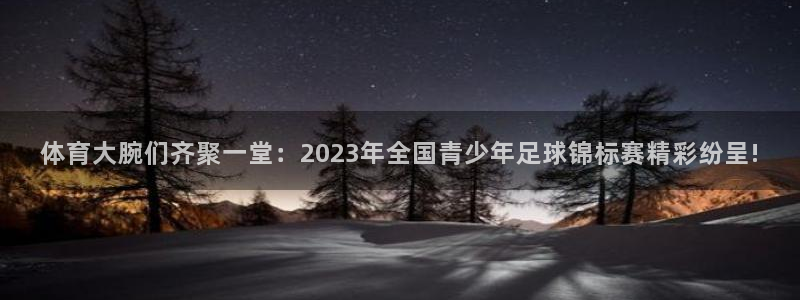 体育大腕们齐聚一堂：2023年全国青少年足球锦标赛精彩纷呈!