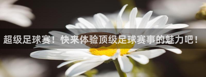 超级足球赛！快来体验顶级足球赛事的魅力吧！
