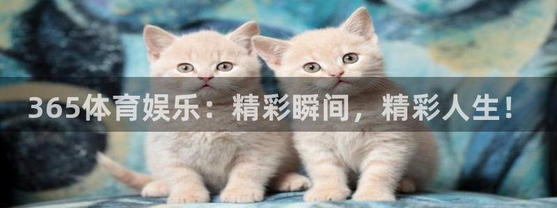 365体育娱乐：精彩瞬间，精彩人生！