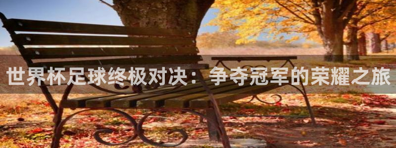 世界杯足球终极对决：争夺冠军的荣耀之旅